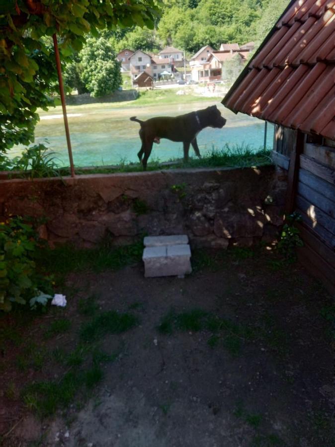 Alfa Διαμέρισμα Kulen Vakuf Εξωτερικό φωτογραφία